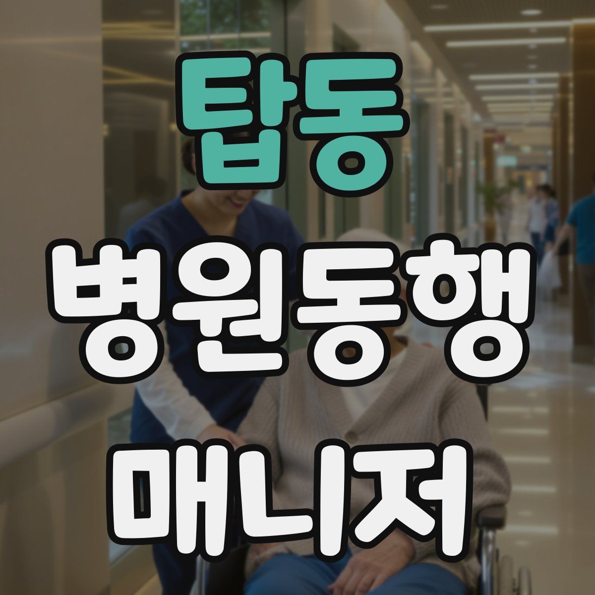 탑동 병원동행매니저 자격증