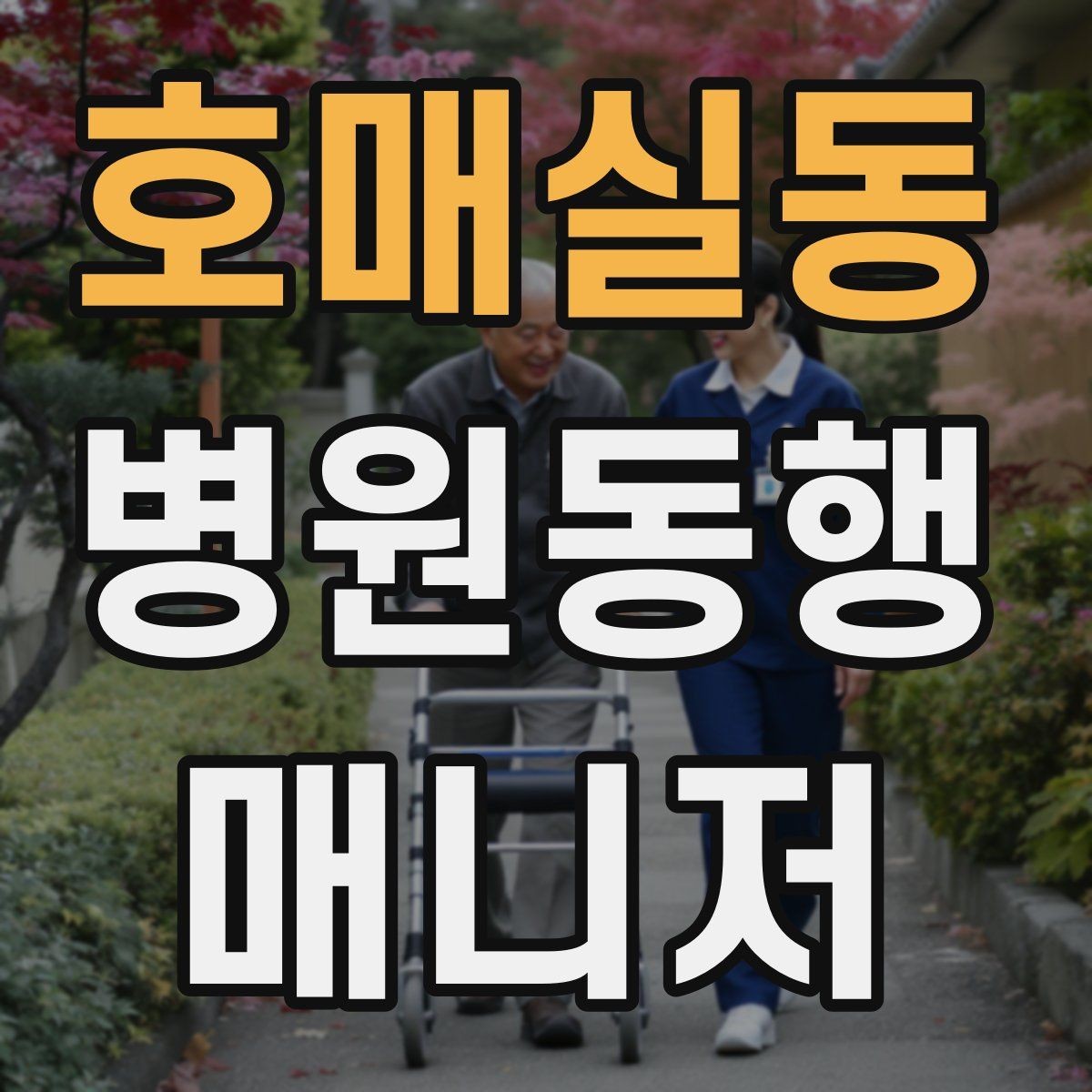 호매실동 병원동행매니저 자격증 어르신 응대에서 중요한 태도