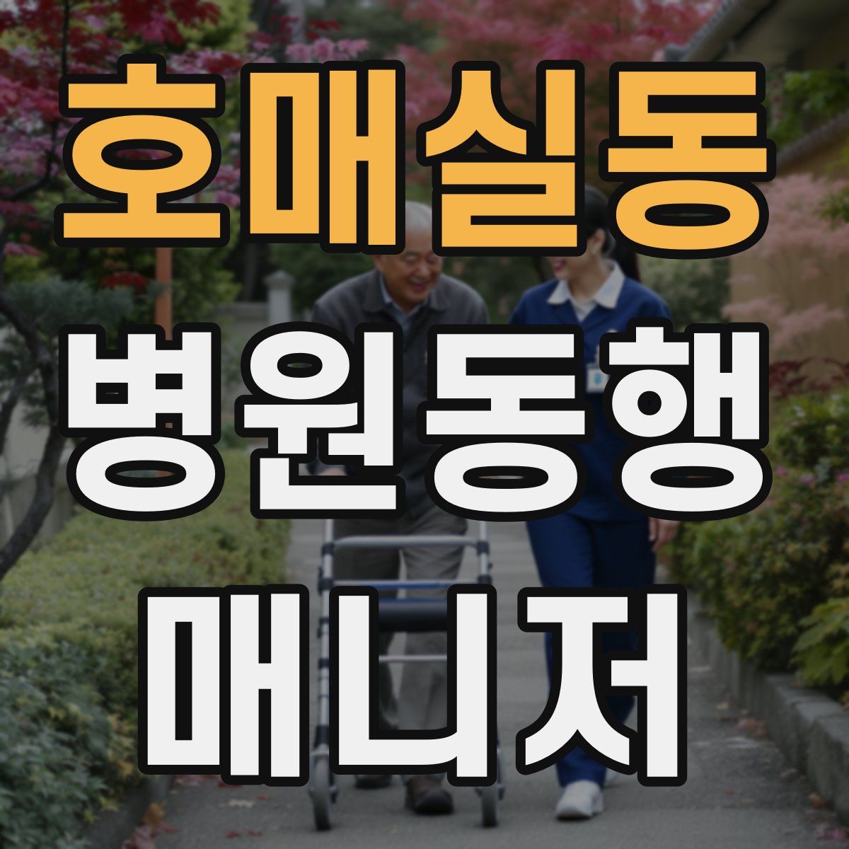 호매실동 병원동행매니저 자격증