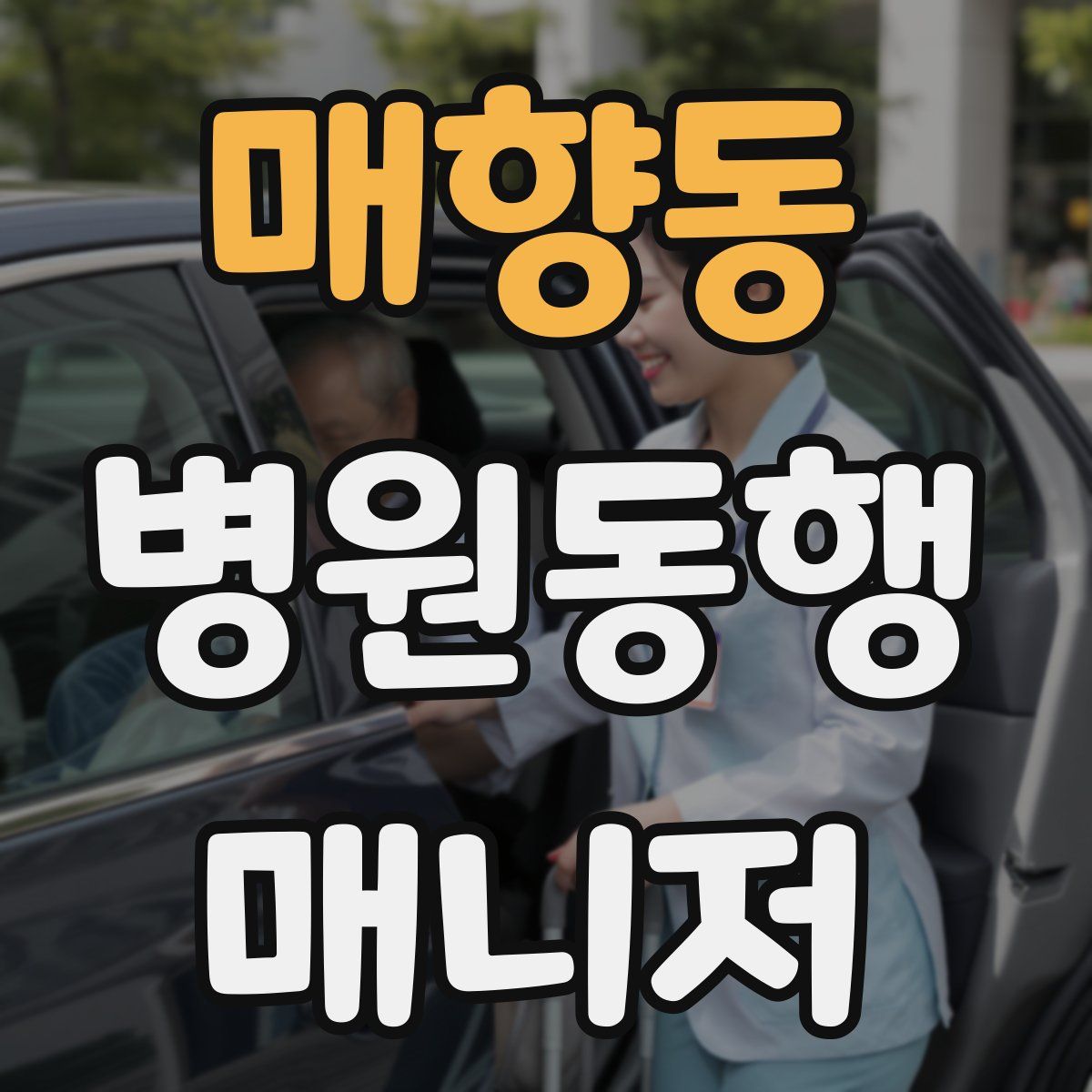 매향동 병원동행매니저 자격증