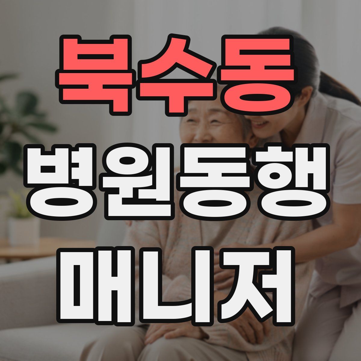 북수동 병원동행매니저 자격증