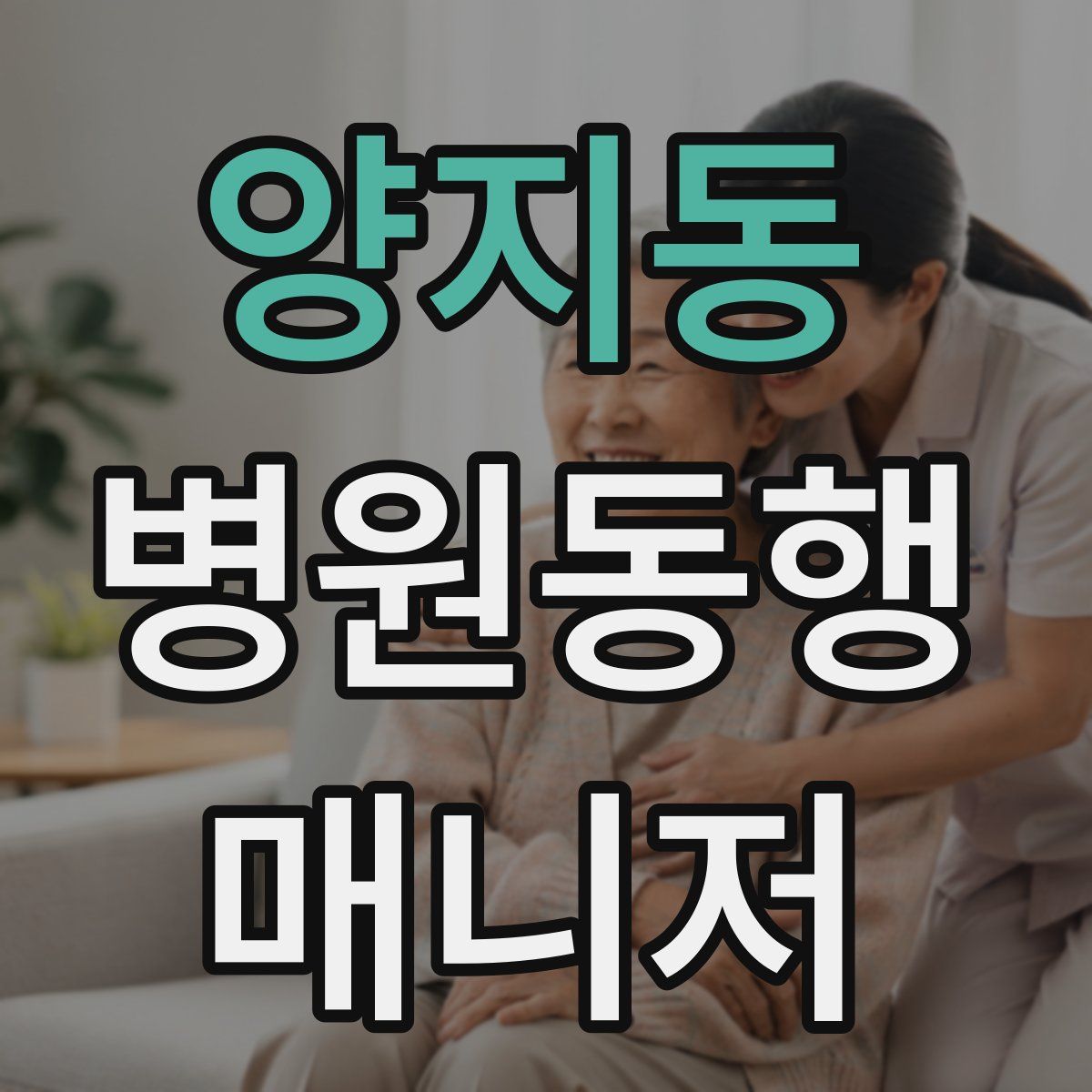 양지동 병원동행매니저 자격증