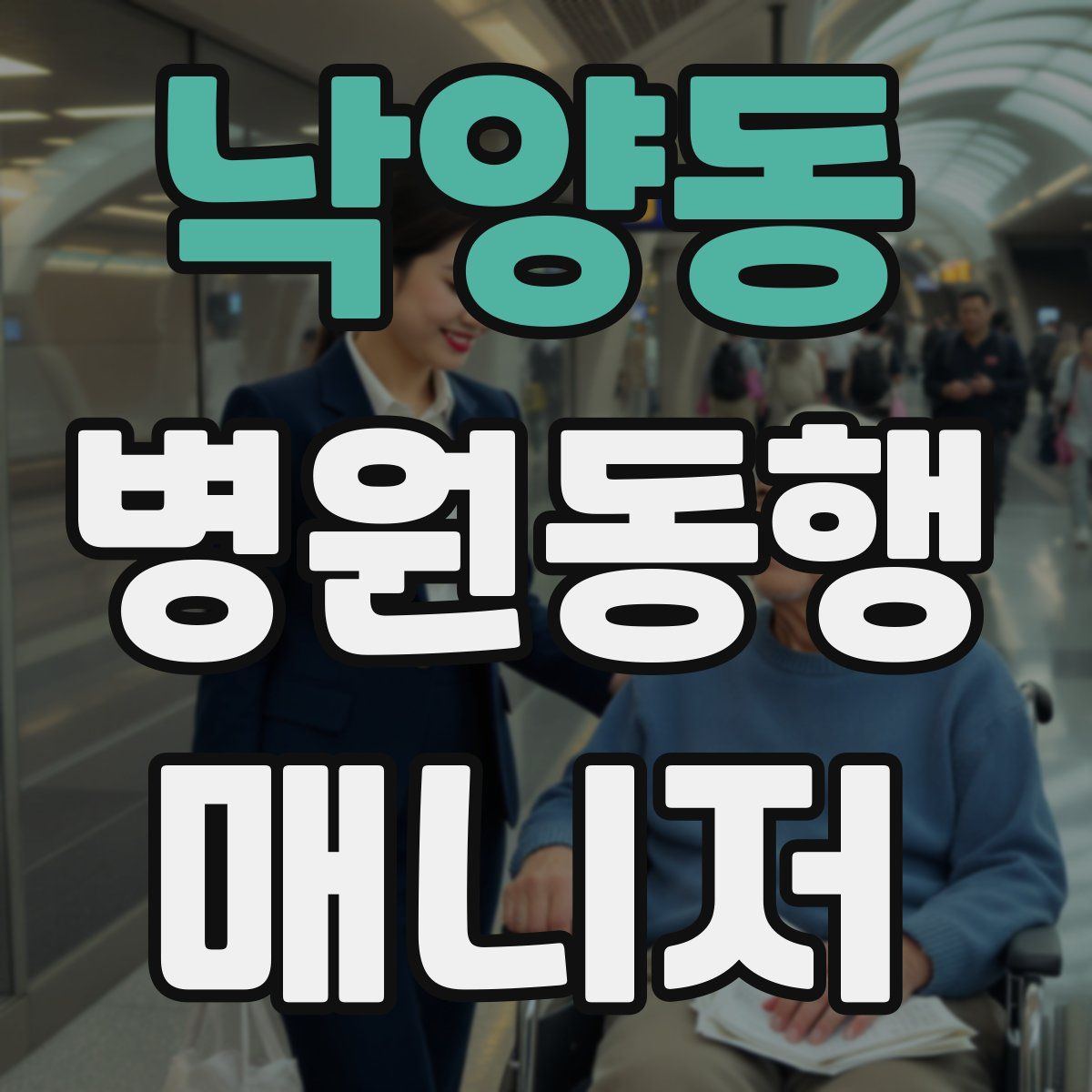 낙양동 병원동행매니저 자격증