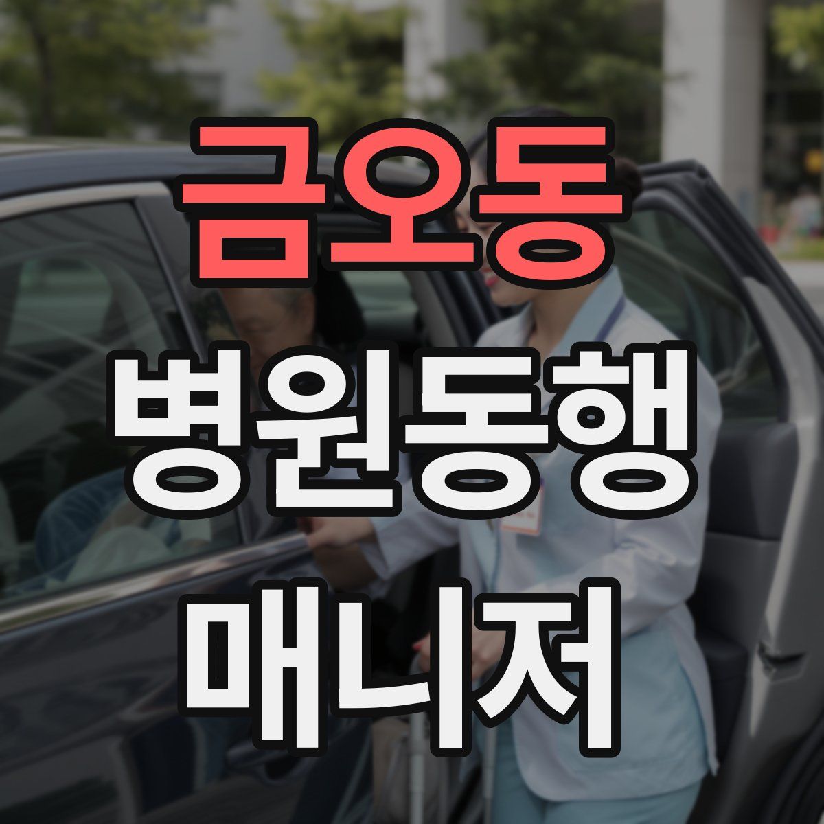 금오동 병원동행매니저 자격증