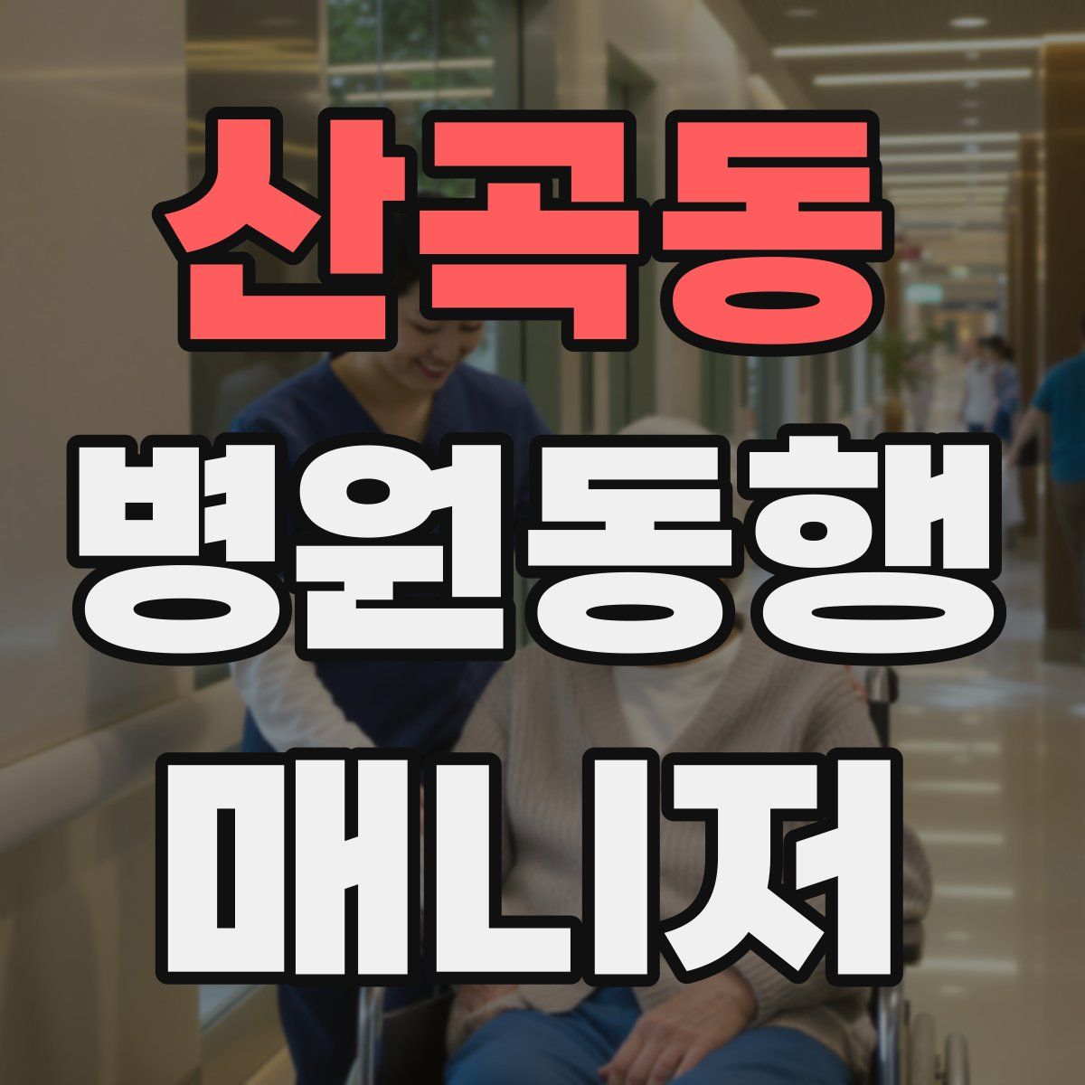 산곡동 병원동행매니저 자격증