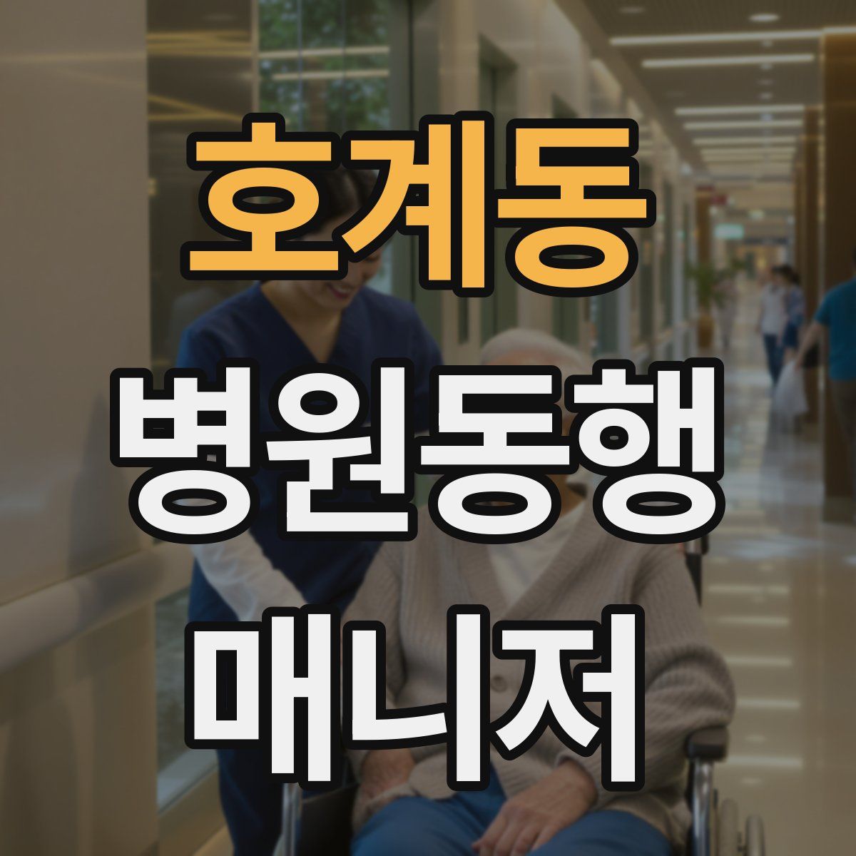 호계동 병원동행매니저 자격증