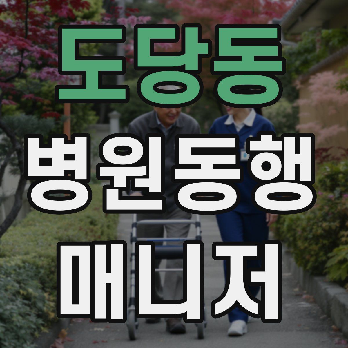 도당동 병원동행매니저 자격증