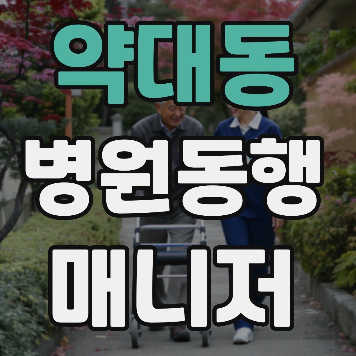 약대동 병원동행매니저 자격증