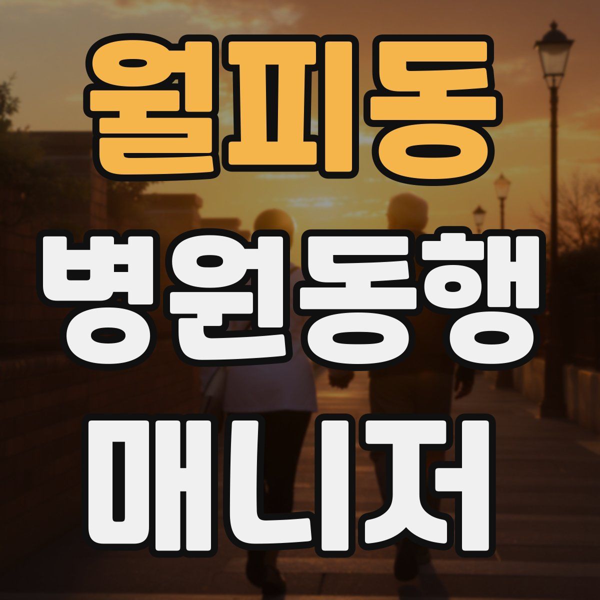 월피동 병원동행매니저 자격증