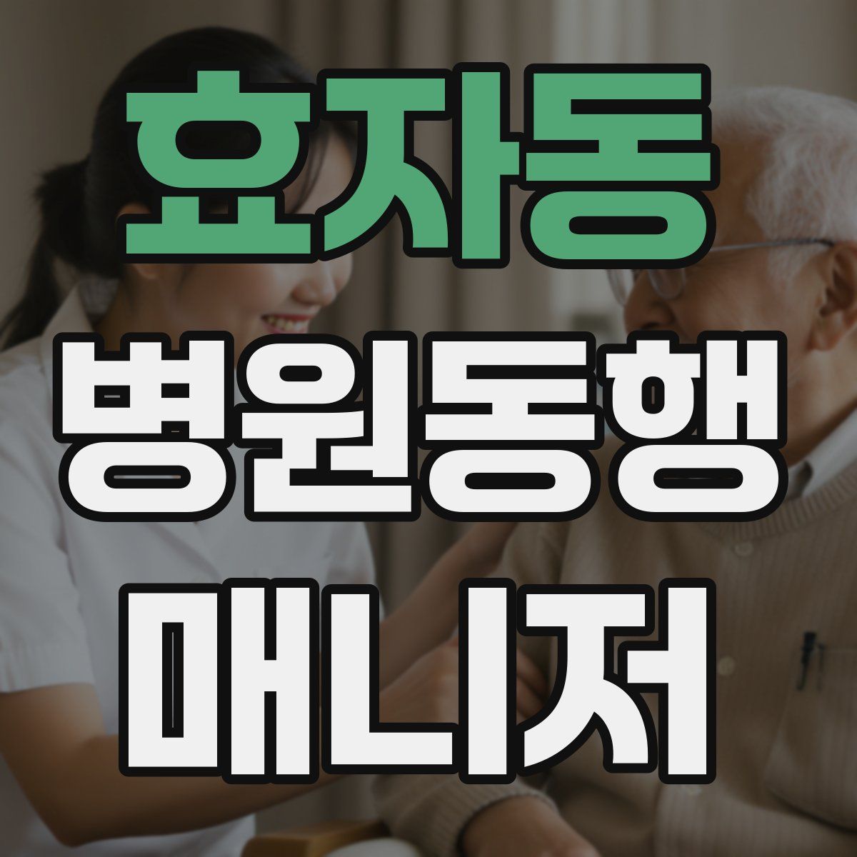 효자동 병원동행매니저 자격증