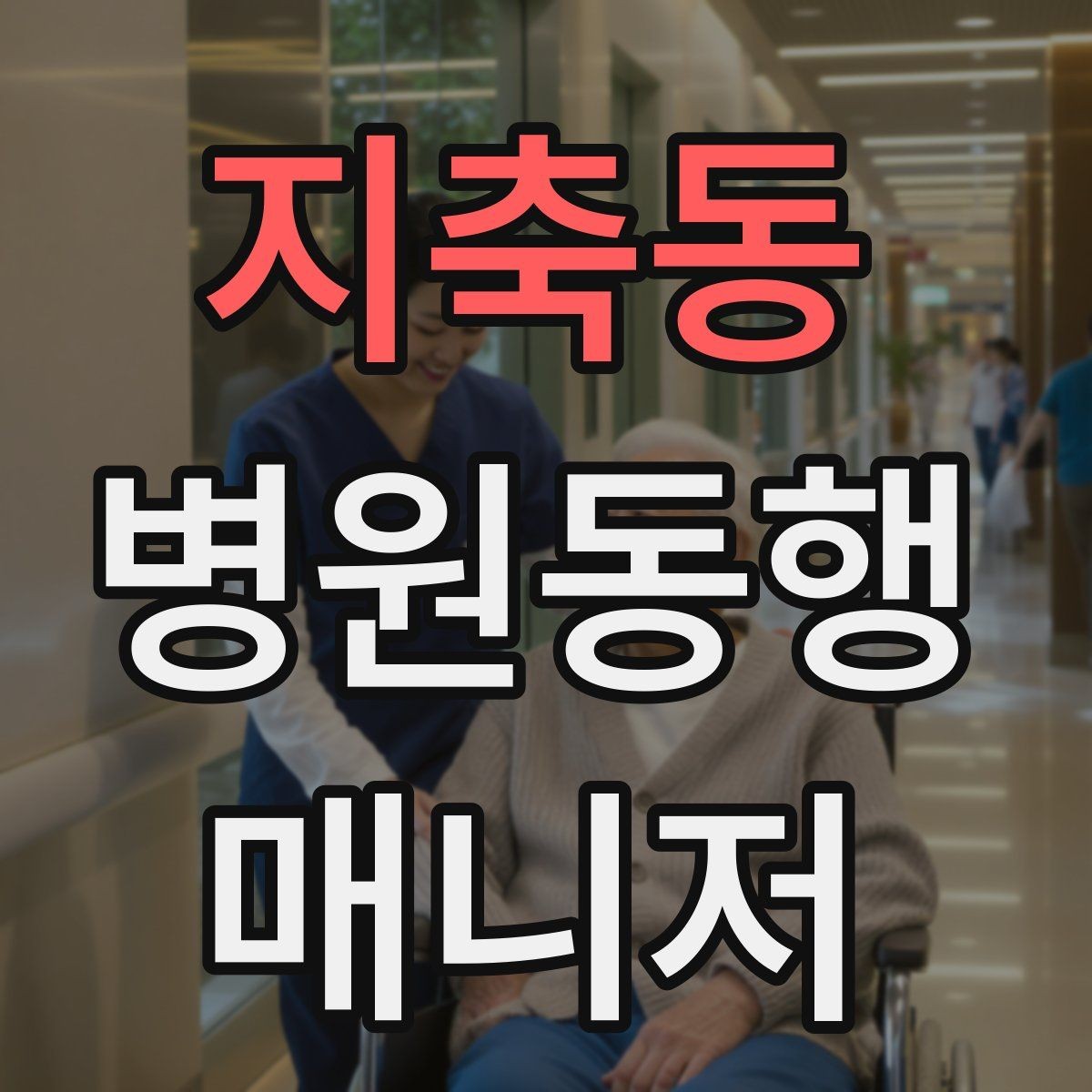 지축동 병원동행매니저 자격증 진료 후 주의사항을 정리해주는 요령