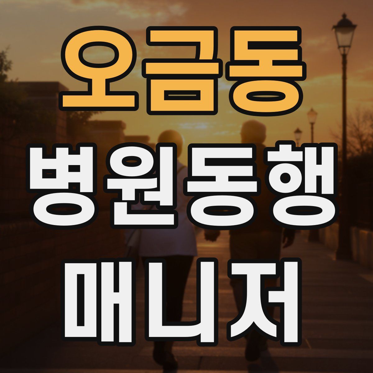 오금동 병원동행매니저 자격증