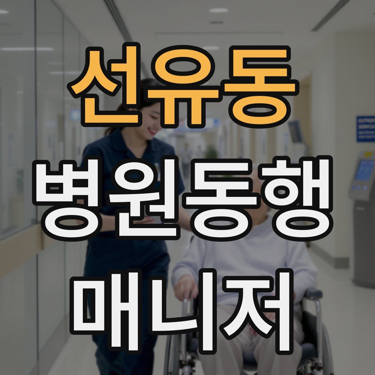 선유동 병원동행매니저 자격증