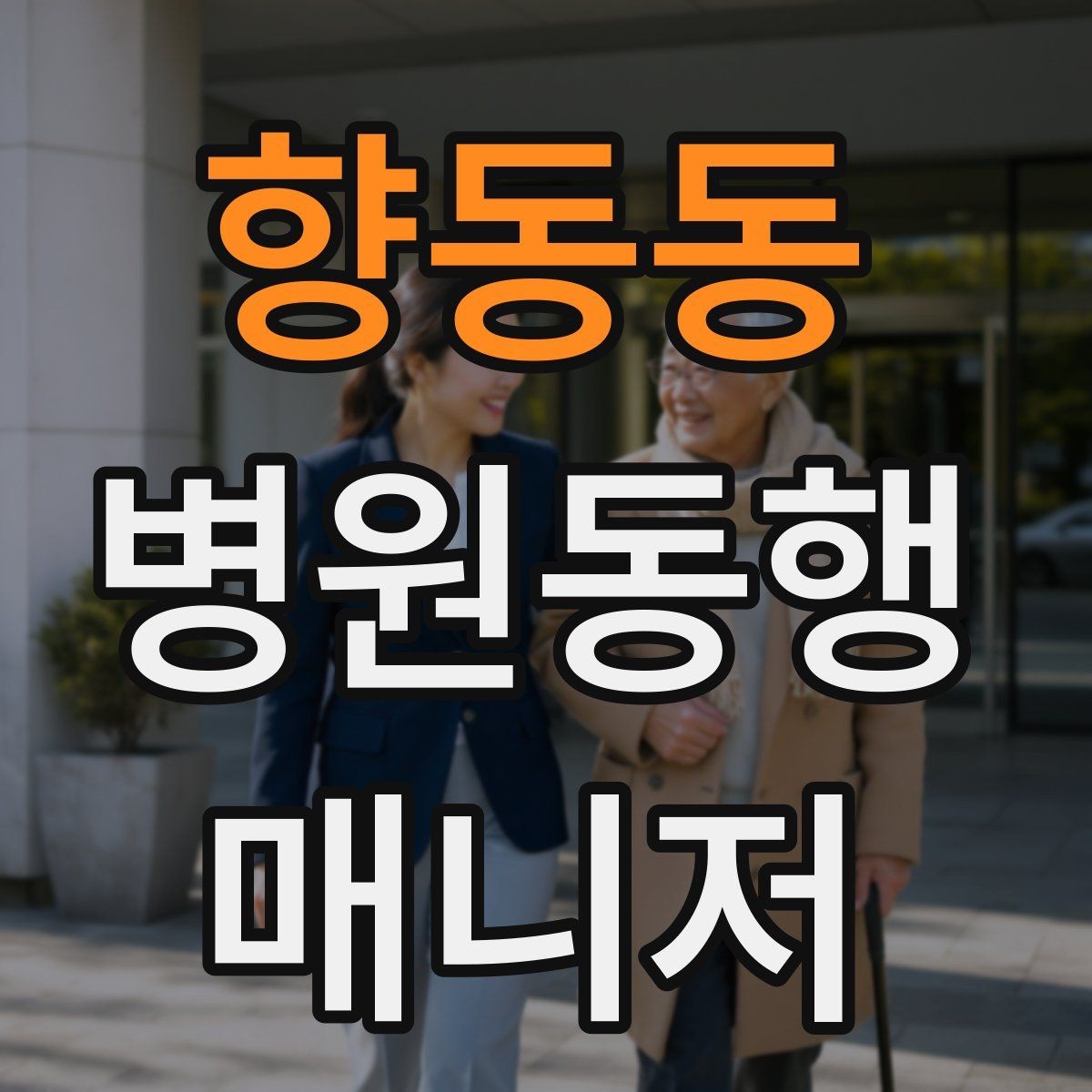 향동동 병원동행매니저 자격증 할 수 있는 일과 하면 안 되는 일 정리