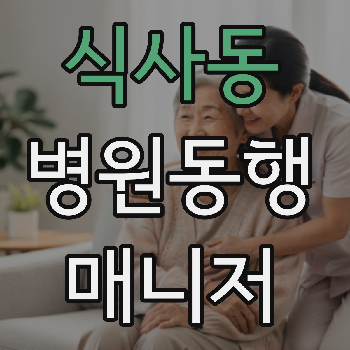 식사동 병원동행매니저 자격증