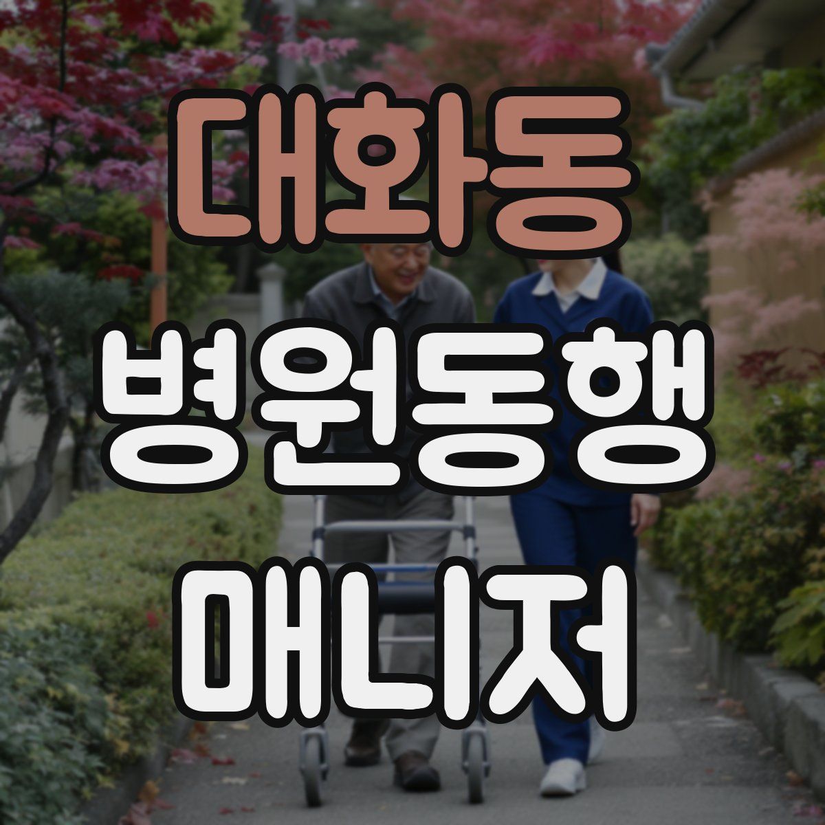 대화동 병원동행매니저 자격증