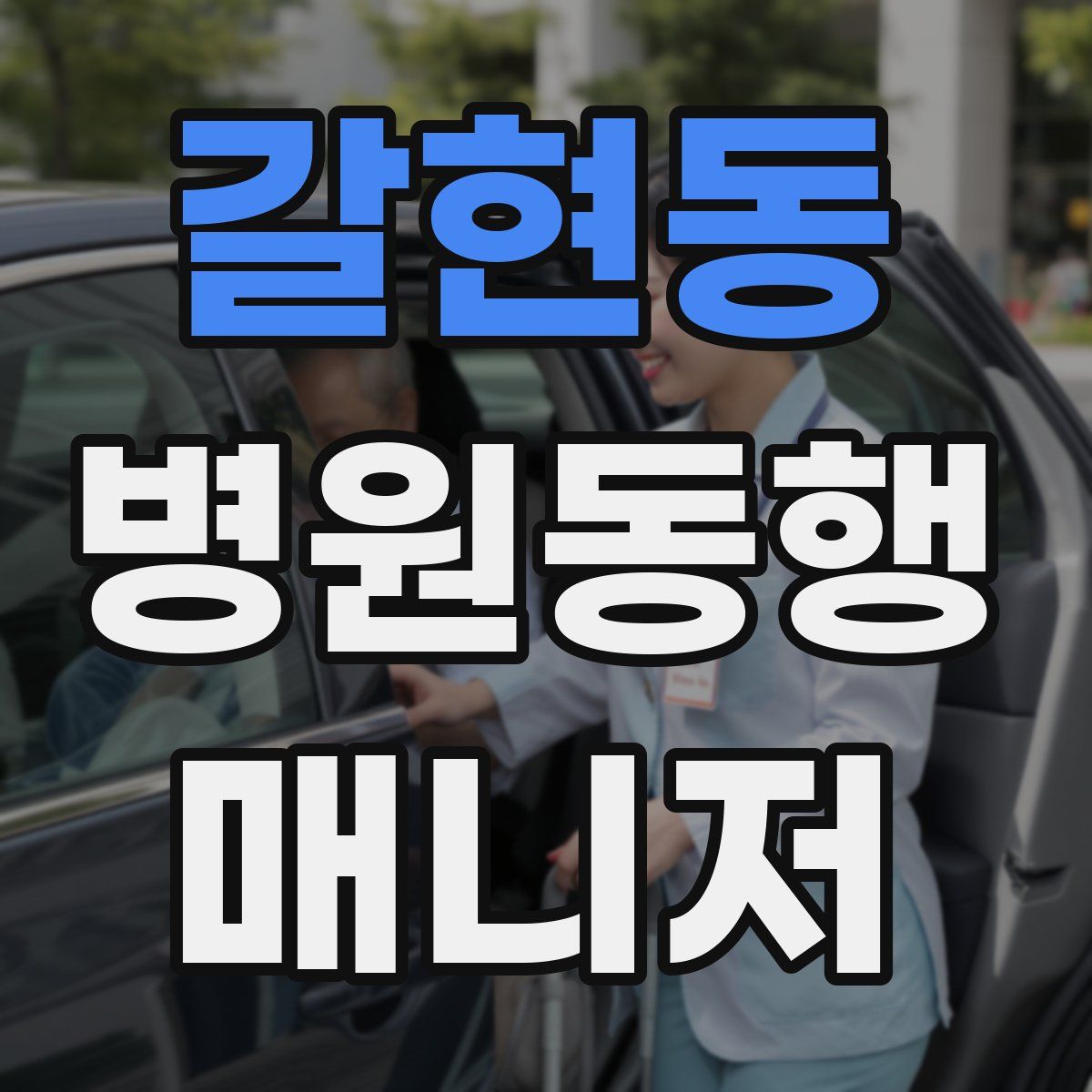 갈현동 병원동행매니저 자격증