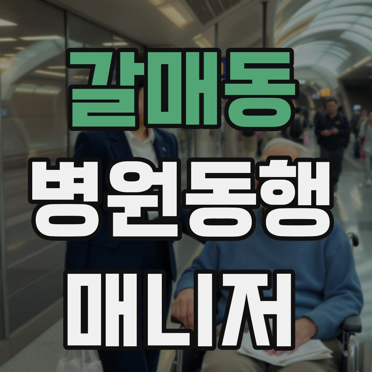 갈매동 병원동행매니저 자격증