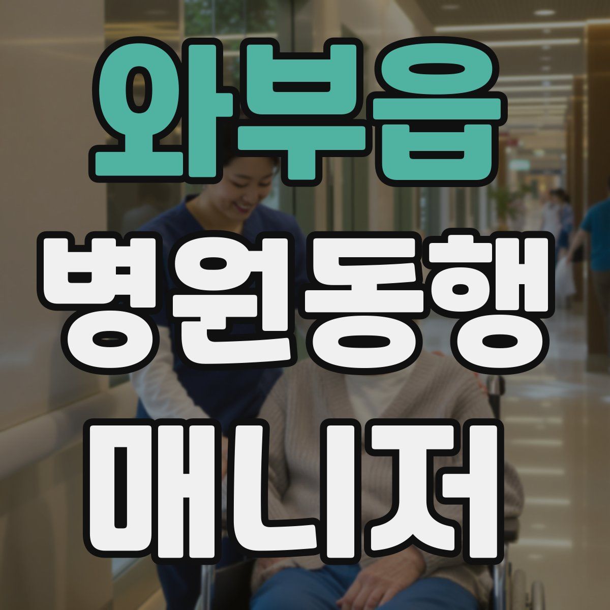 와부읍 병원동행매니저 자격증