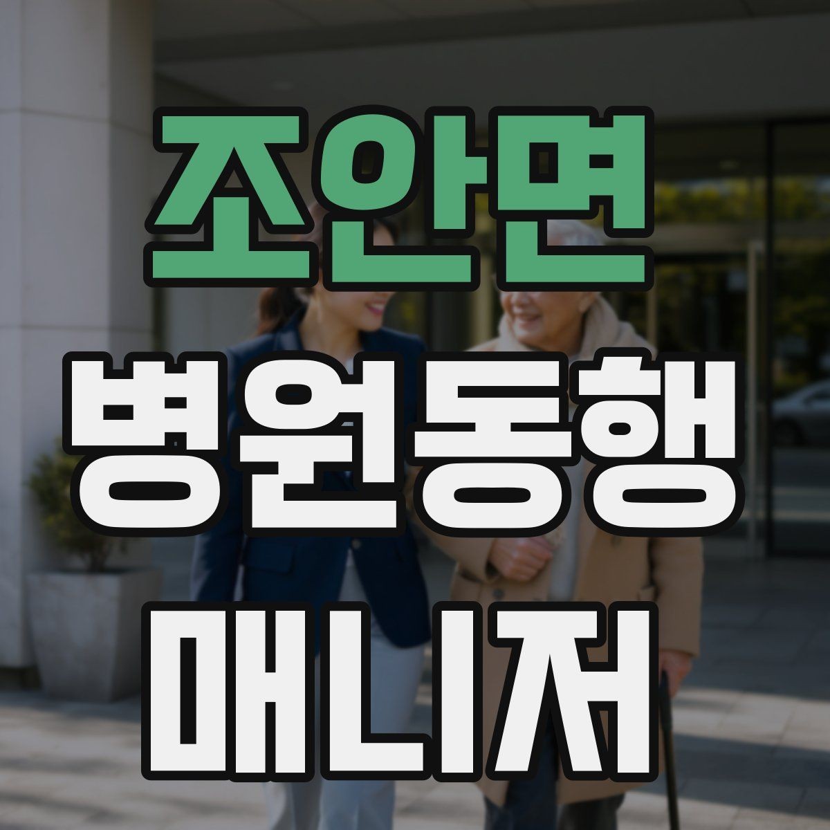 조안면 병원동행매니저 자격증 다중 검사 동선 계획 세우는 방법
