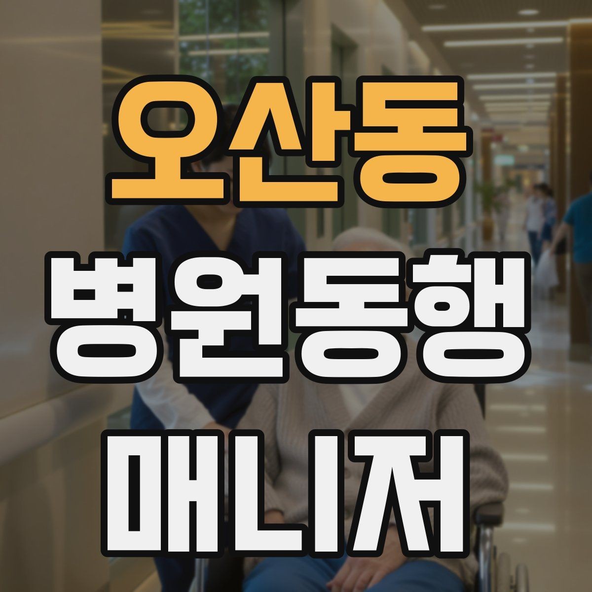오산동 병원동행매니저 자격증 의료행위와 동행업무 경계를 지키는 이유