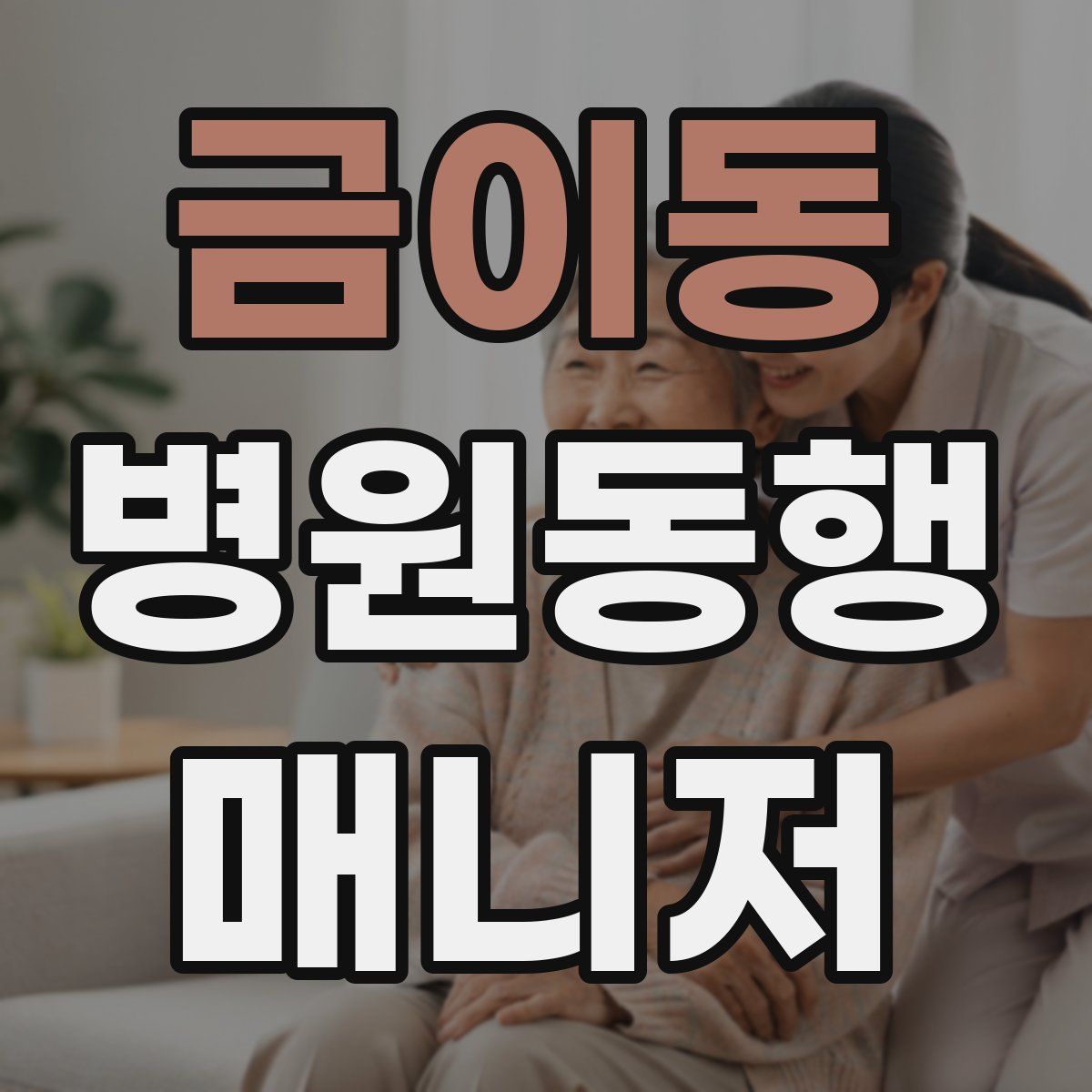금이동 병원동행매니저 자격증
