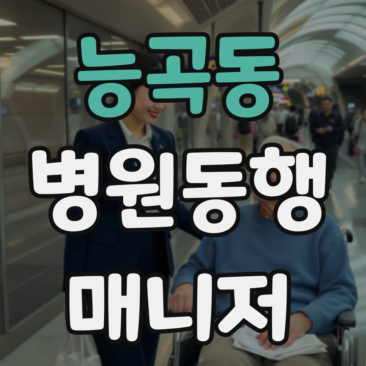 능곡동 병원동행매니저 자격증