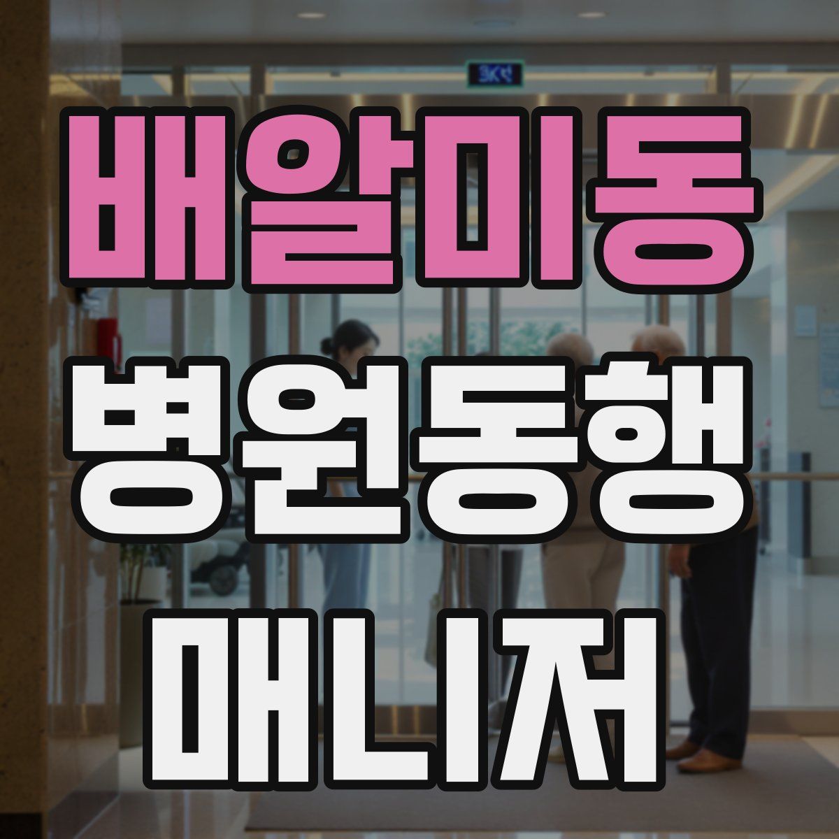 배알미동 병원동행매니저 자격증