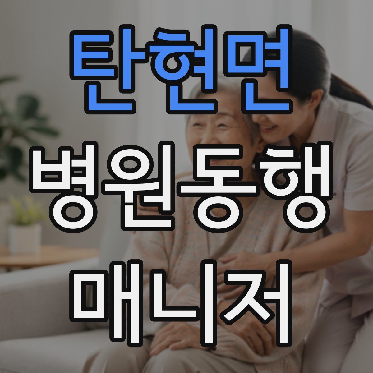 탄현면 병원동행매니저 자격증