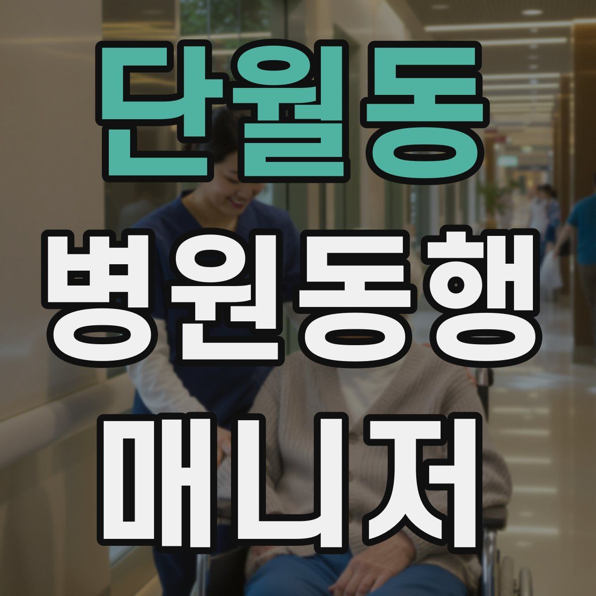 단월동 병원동행매니저 자격증