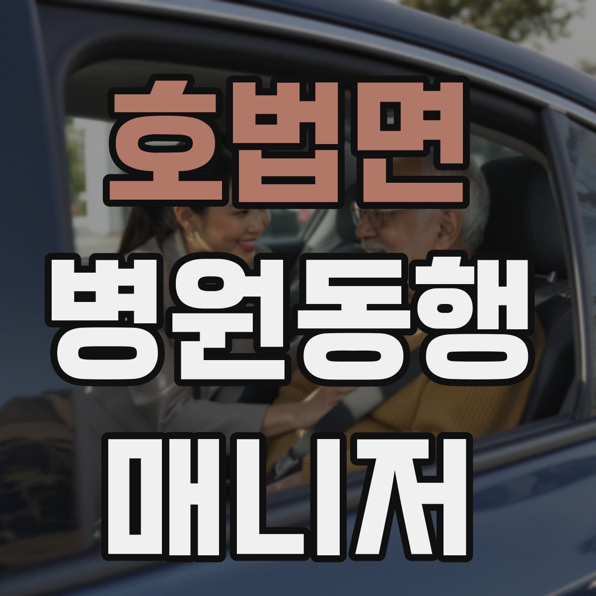 호법면 병원동행매니저 자격증