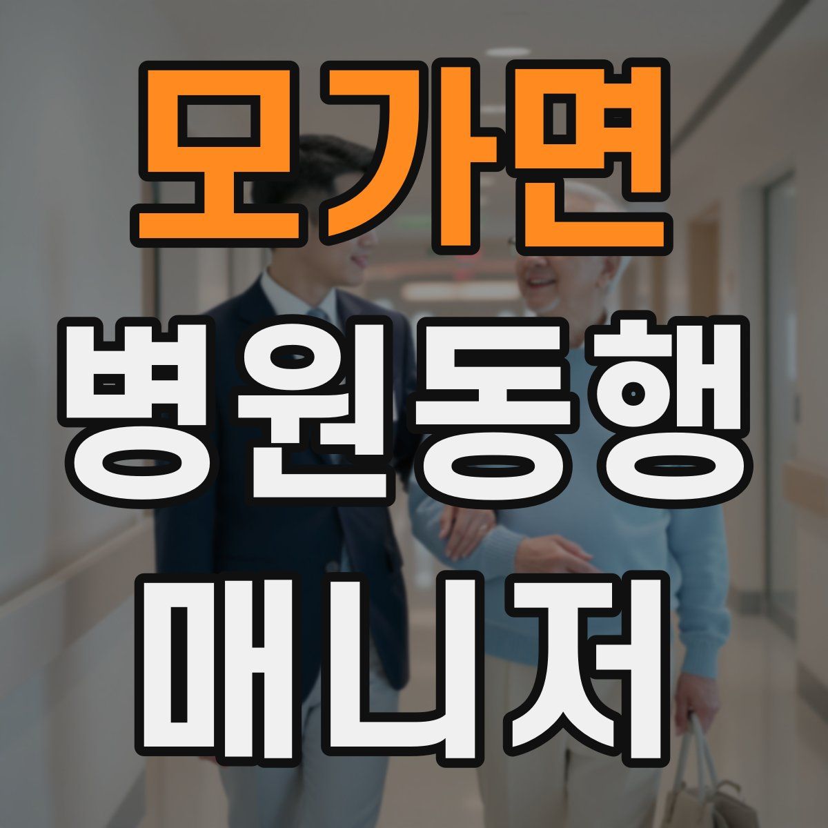 모가면 병원동행매니저 자격증