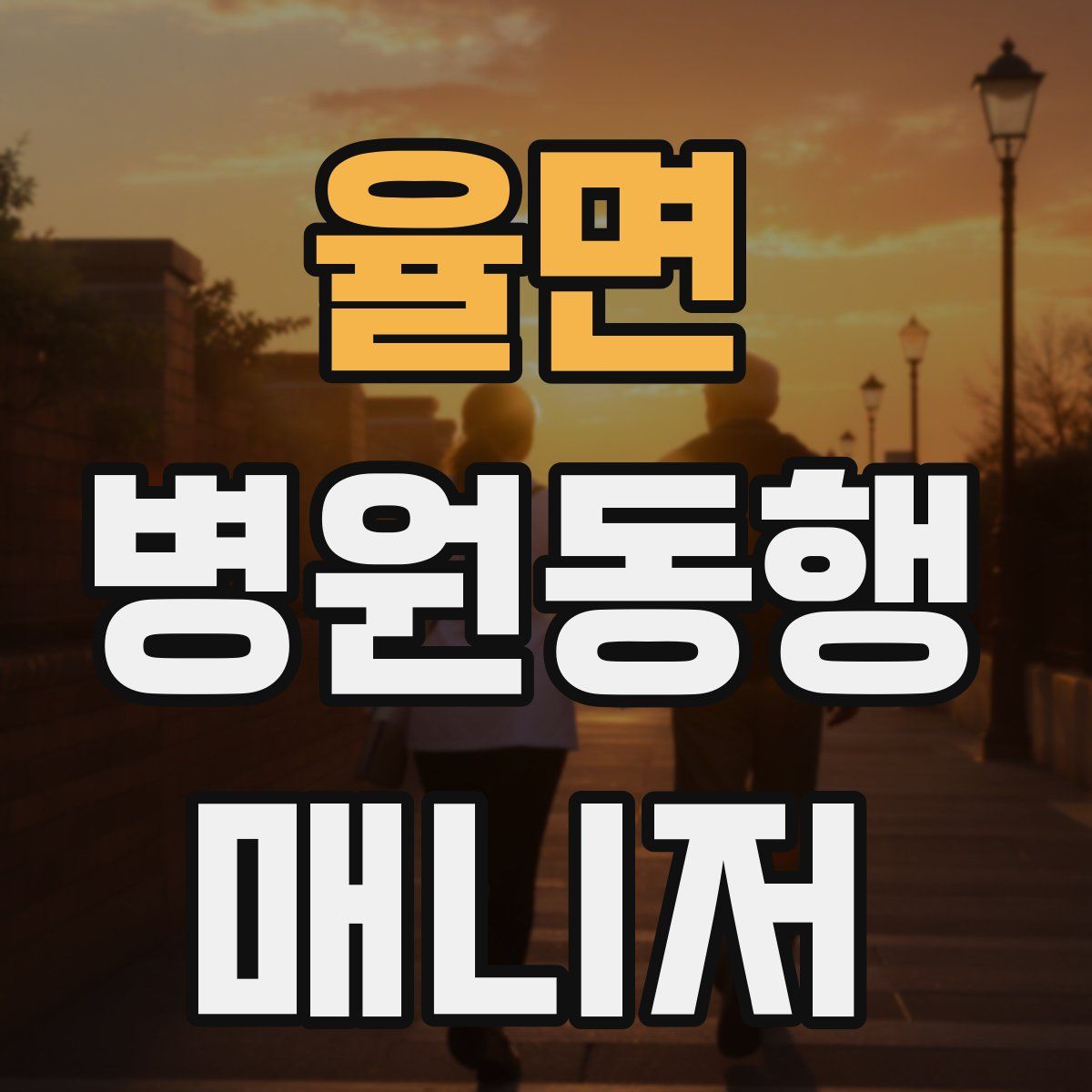 율면 병원동행매니저 자격증