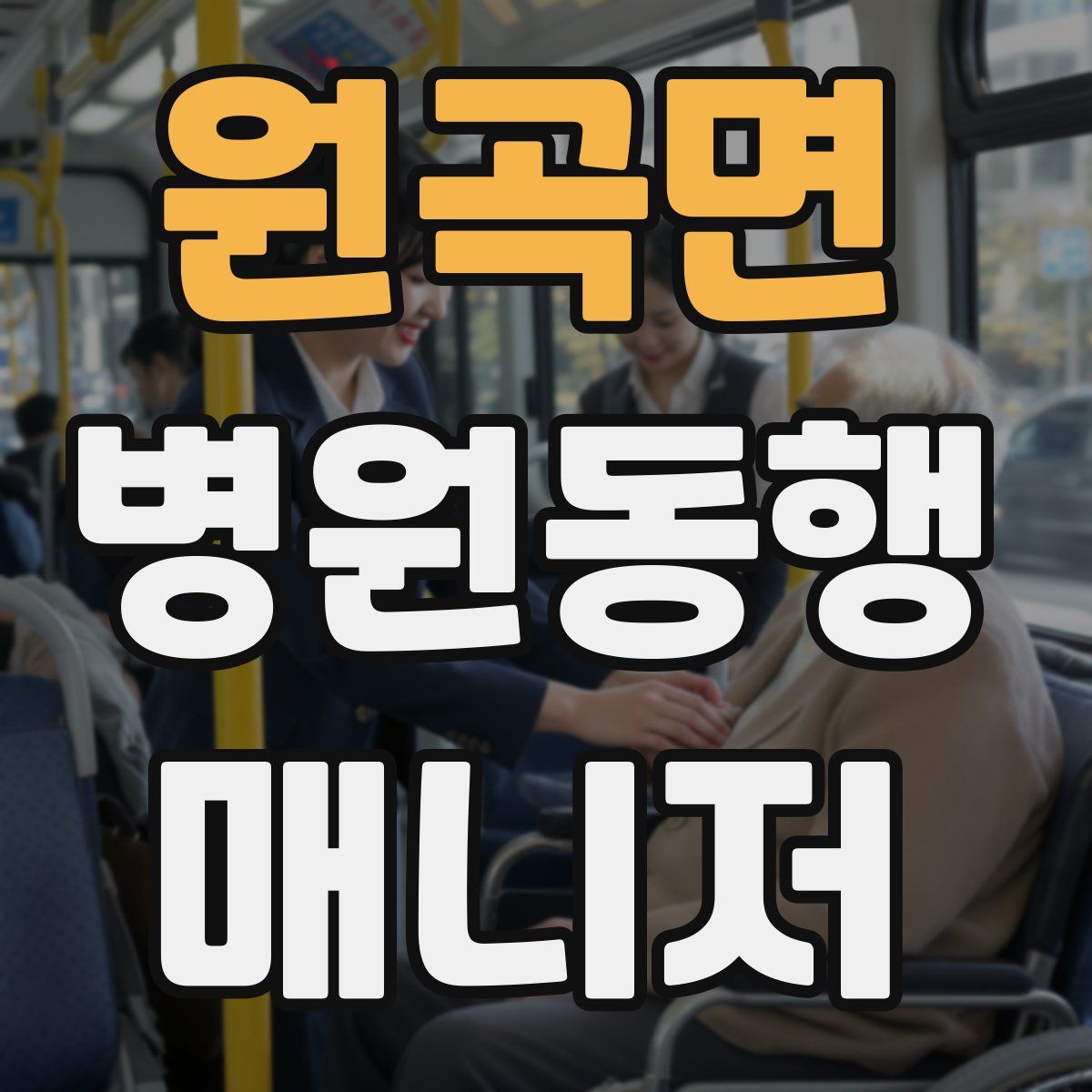 원곡면 병원동행매니저 자격증