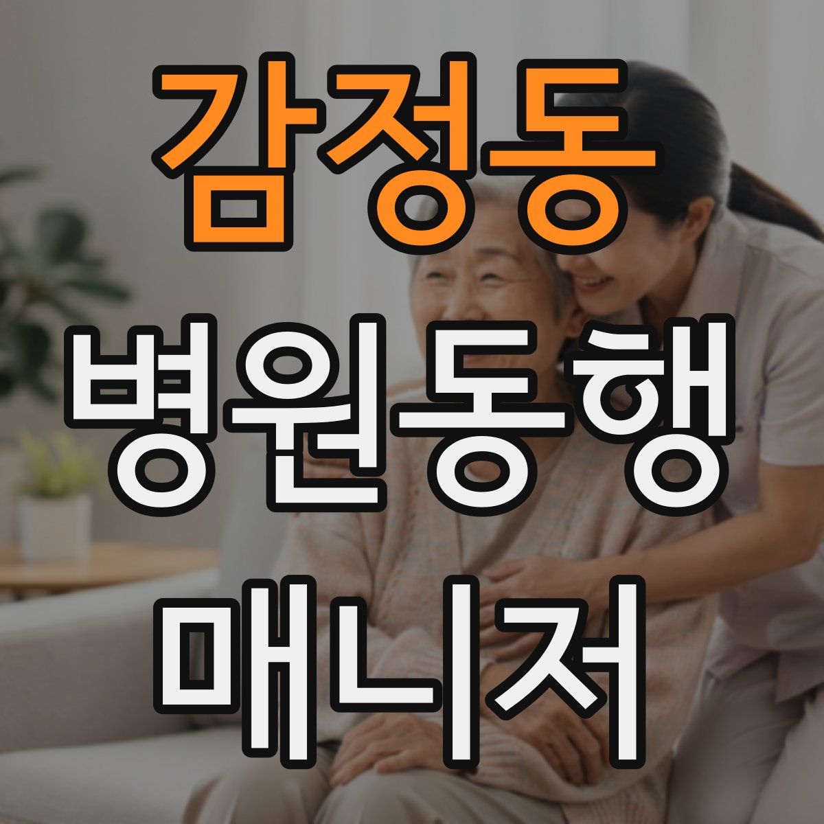 감정동 병원동행매니저 자격증