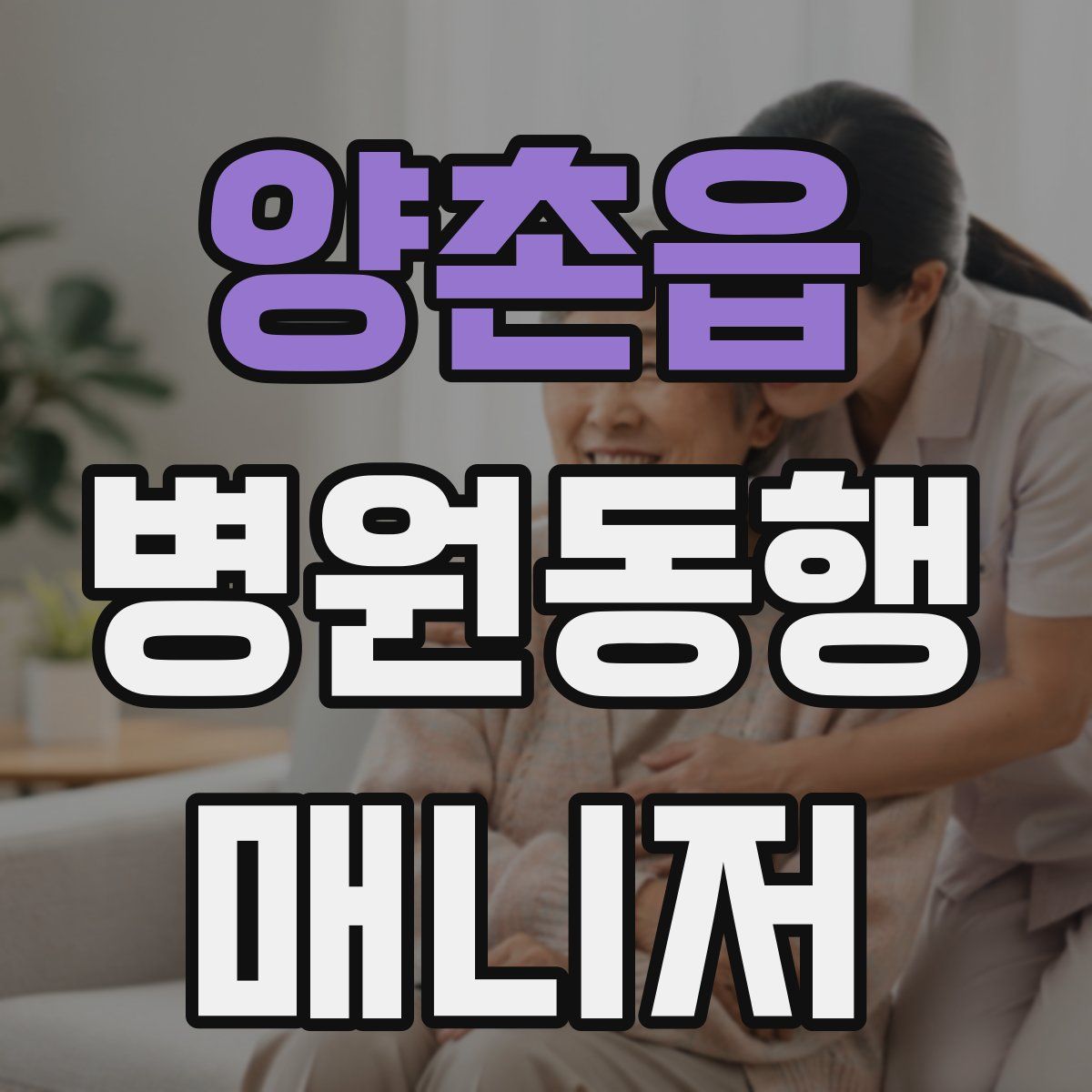 양촌읍 병원동행매니저 자격증