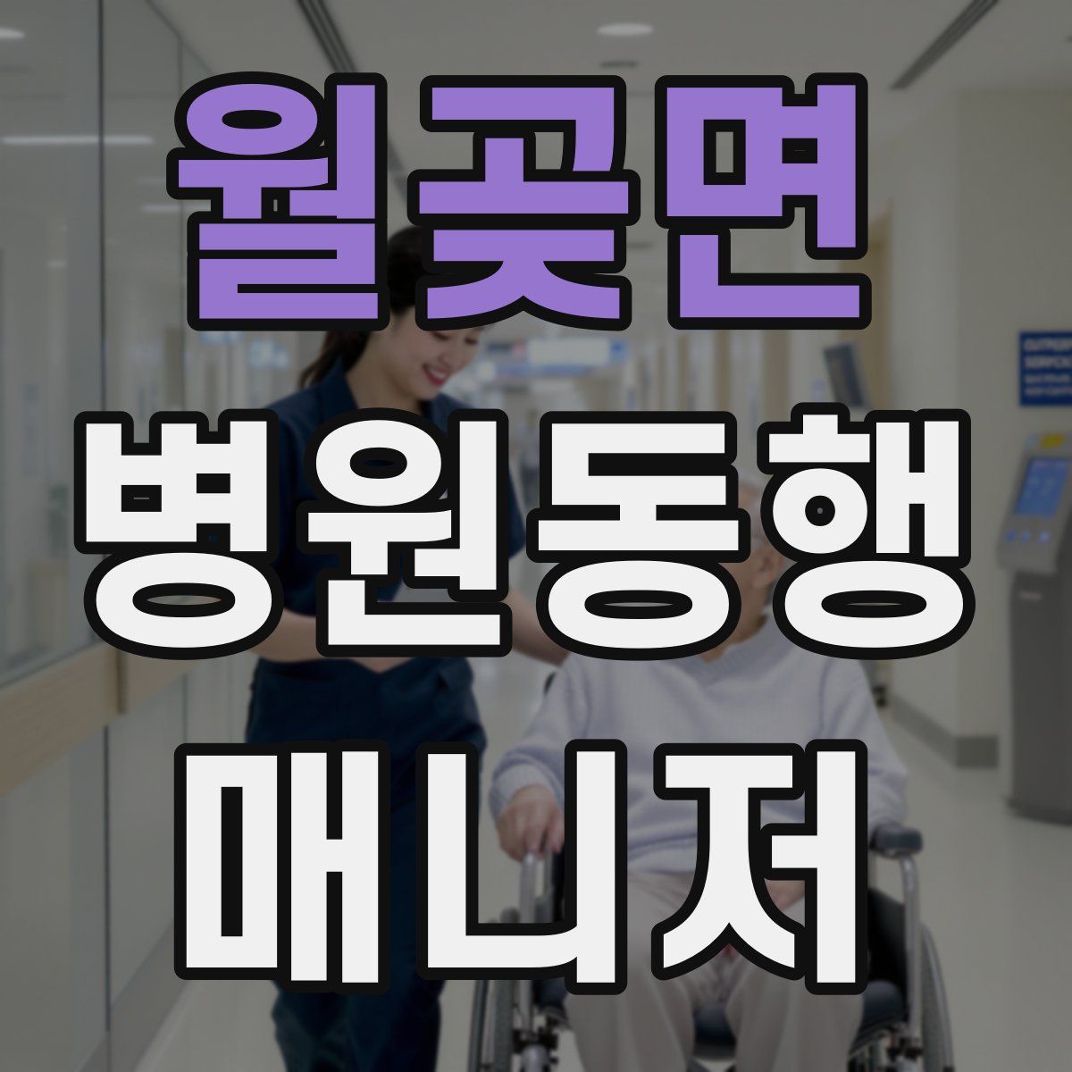 월곶면 병원동행매니저 자격증