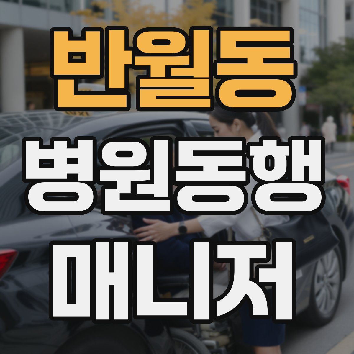 반월동 병원동행매니저 자격증