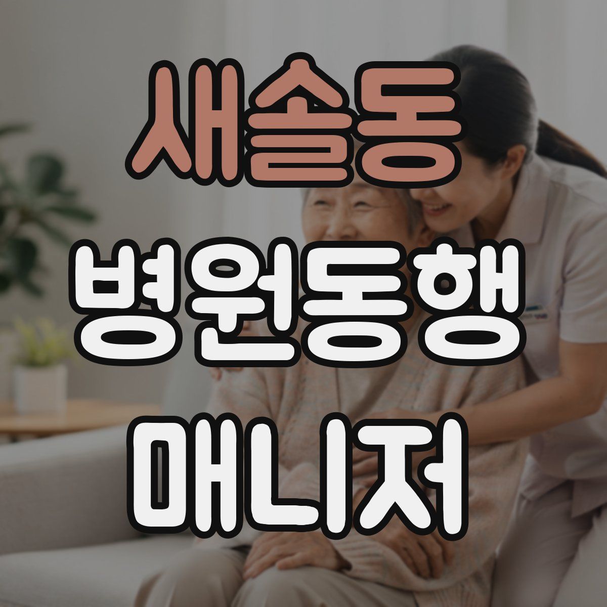 새솔동 병원동행매니저 자격증