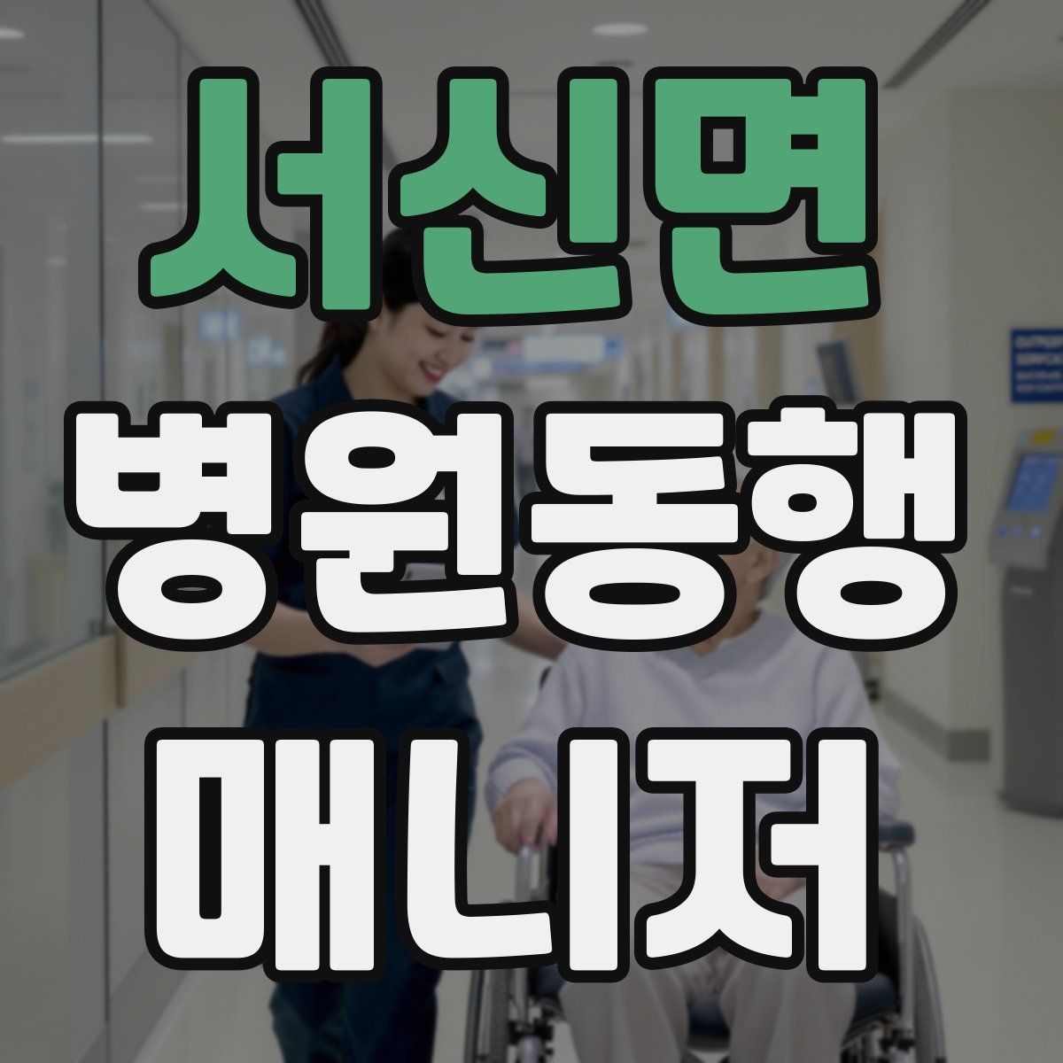 서신면 병원동행매니저 자격증