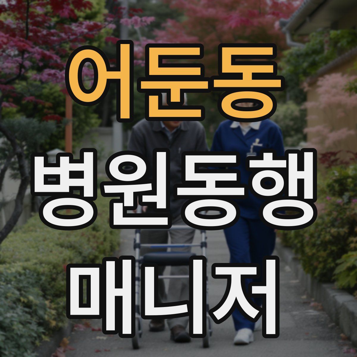 어둔동 병원동행매니저 자격증