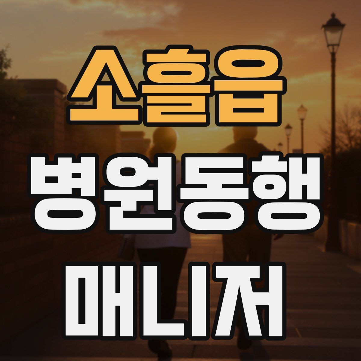 소흘읍 병원동행매니저 자격증 병원 앱·문자 안내를 활용하는 법