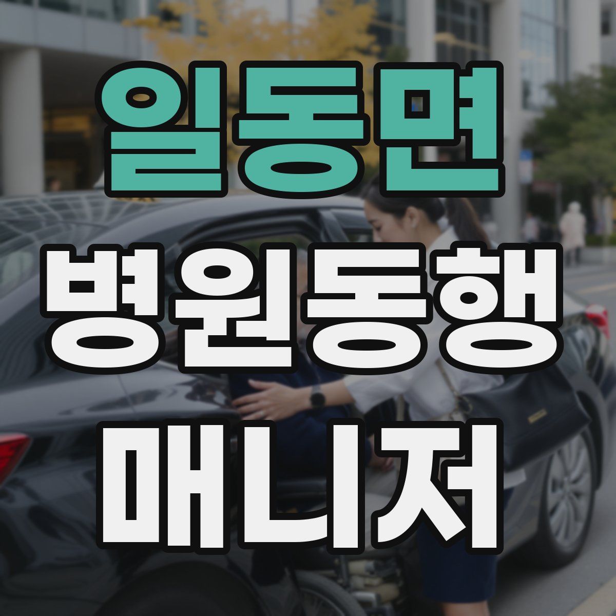 일동면 병원동행매니저 자격증