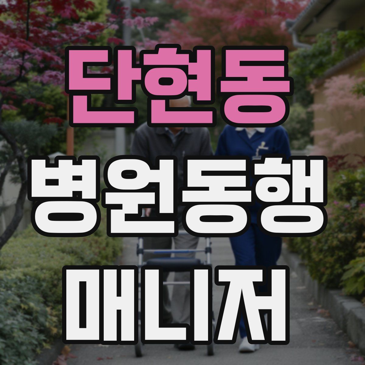 단현동 병원동행매니저 자격증