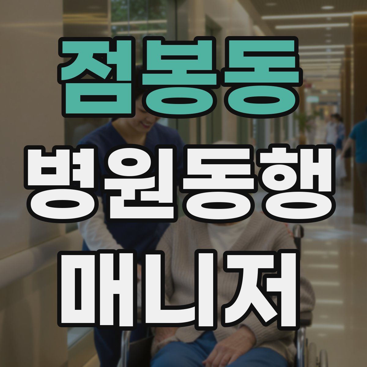 점봉동 병원동행매니저 자격증