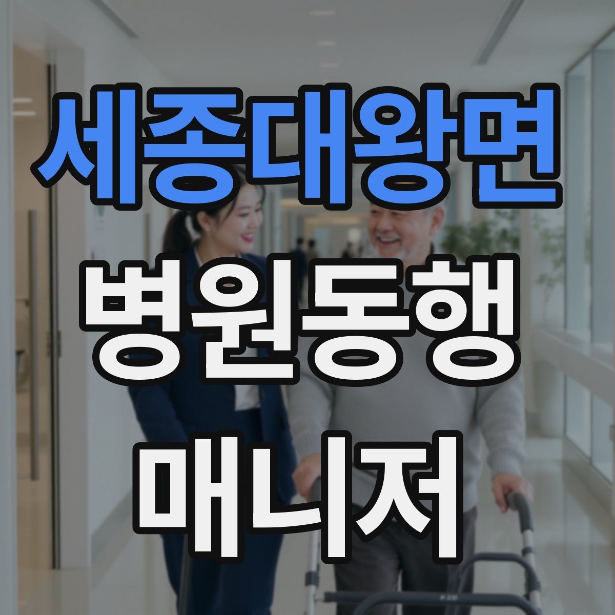 세종대왕면 병원동행매니저 자격증
