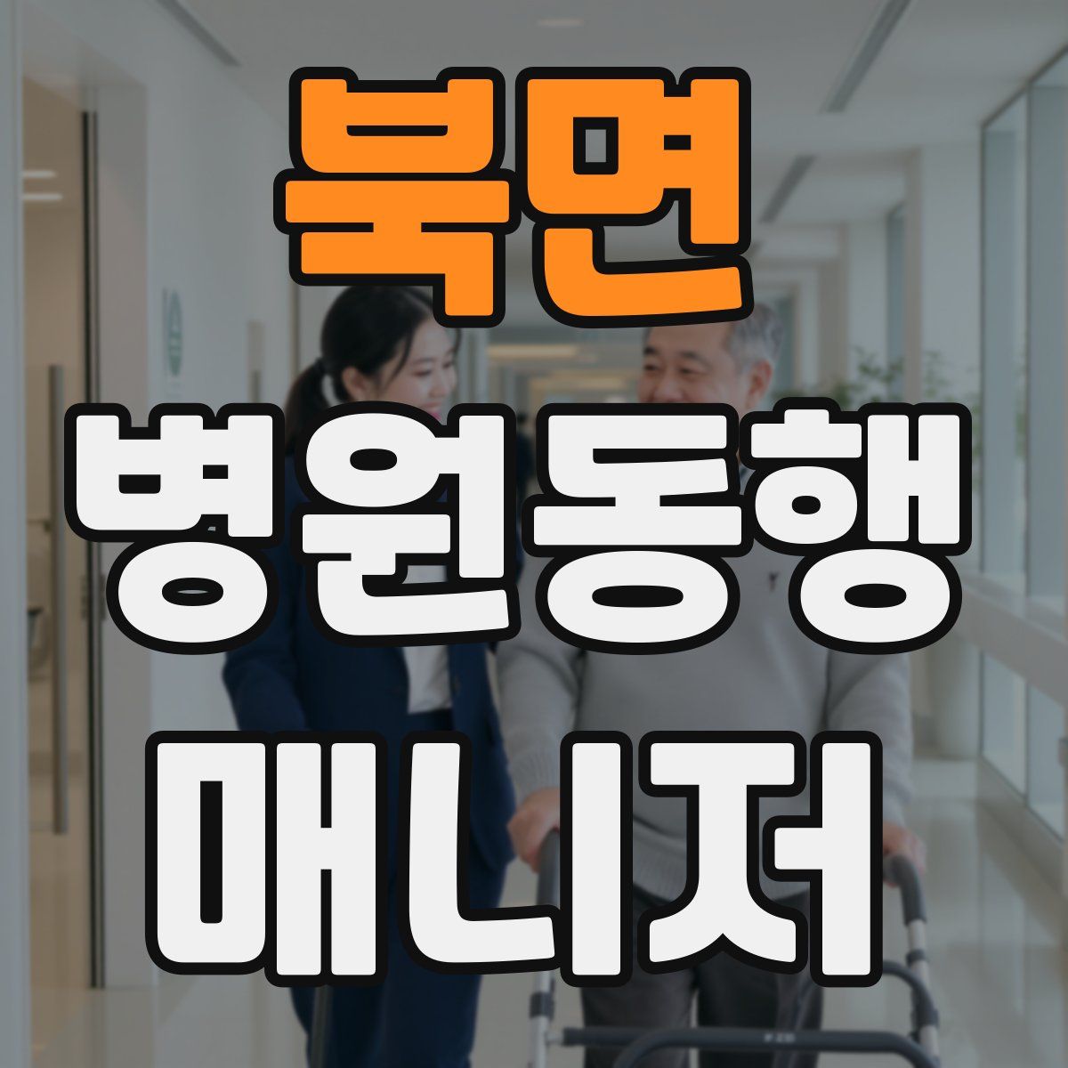 북면 병원동행매니저 자격증