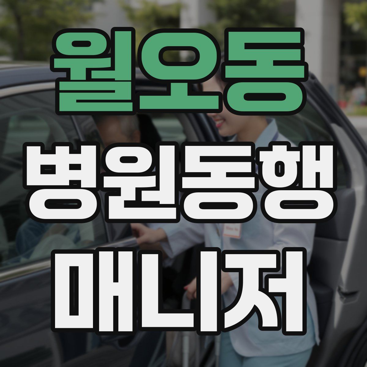 월오동 병원동행매니저 자격증