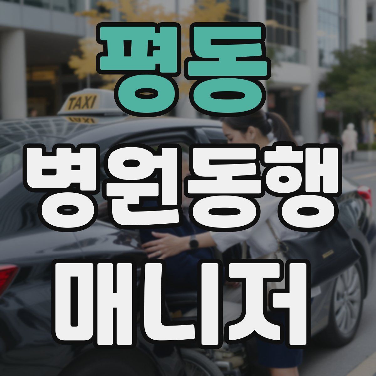 평동 병원동행매니저 자격증