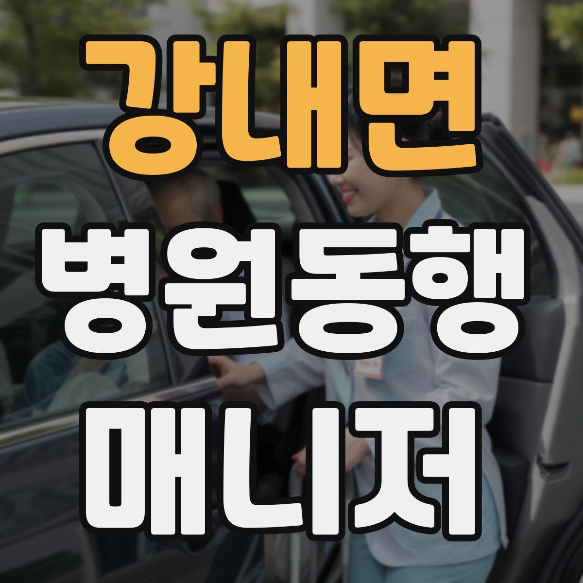 강내면 병원동행매니저 자격증